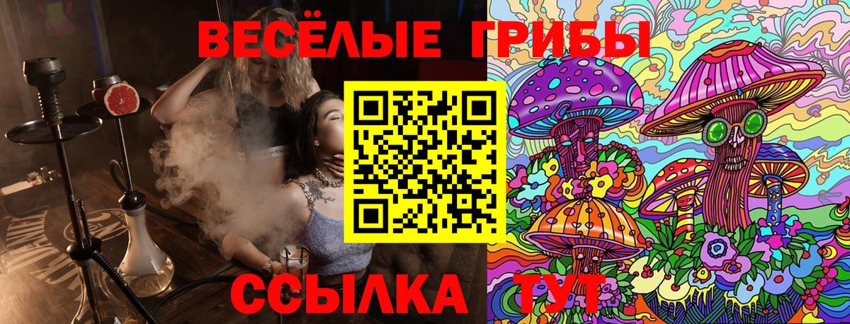Кимры  Галлюциногенные грибы прущие грибы  Вход с VPN  Псилоцибиновые грибы ЛСД 