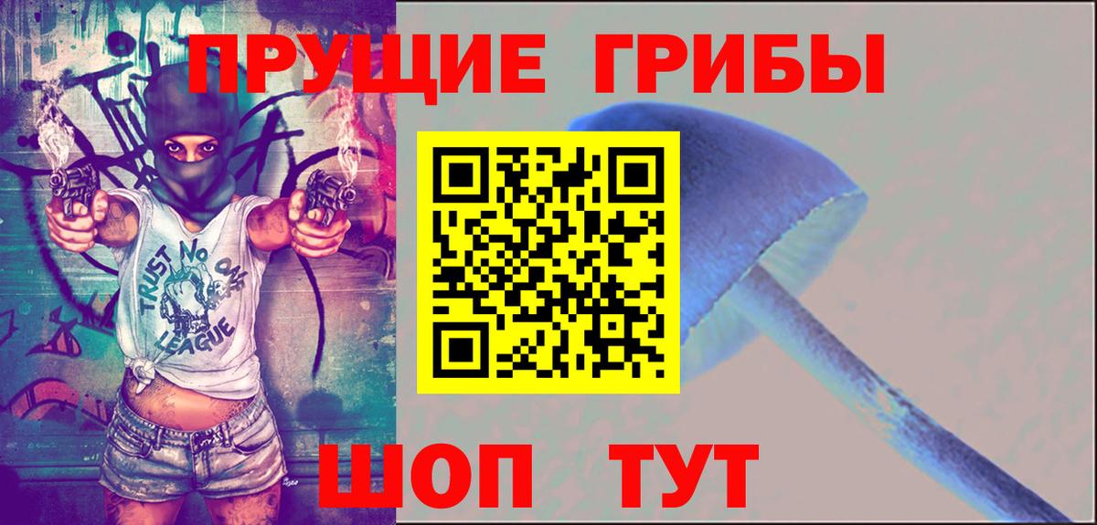 Галлюциногенные грибы Psilocybine cubensis Кимры